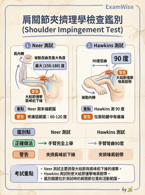 物治 - 肩關節夾擠與旋轉肌袖 - AI 圖文解析預覽