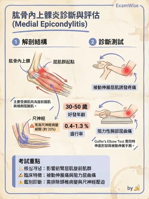 物治 - 肘及前臂關節 - AI 圖文解析預覽