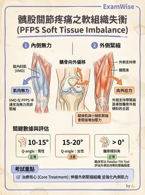 物治 - 髕股關節疼痛與伸展機制 - AI 圖文解析預覽