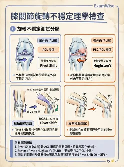 物治 - 膝關節韌帶與半月板損傷 - AI 圖文解析預覽