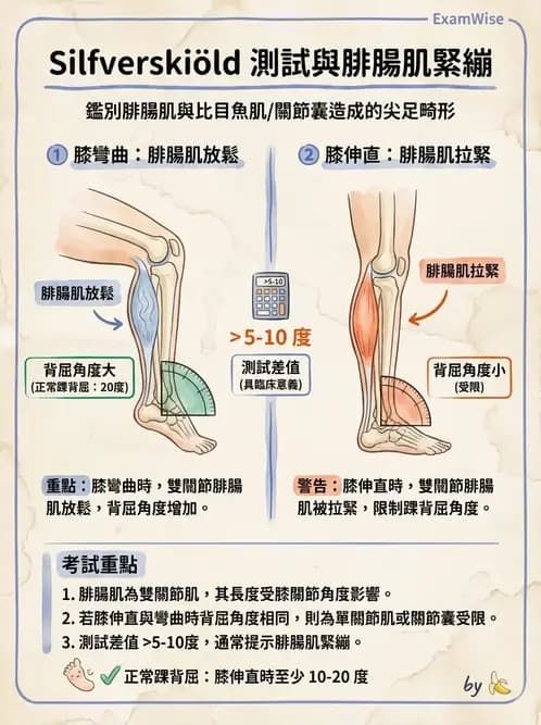 物治 - 踝關節損傷與復健 - AI 圖文解析預覽