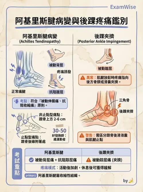 物治 - 踝關節損傷與復健 - AI 圖文解析預覽