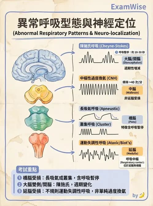 物治 - 競技與運動防護 - AI 圖文解析預覽