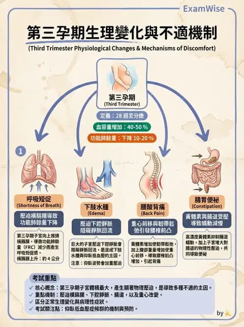 物治 - 女性健康 - AI 圖文解析預覽