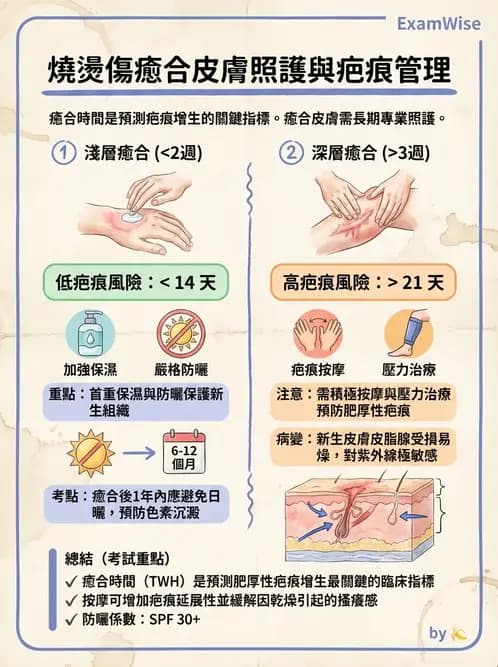 物治 - 皮膚與淋巴系統物理治療 - AI 圖文解析預覽