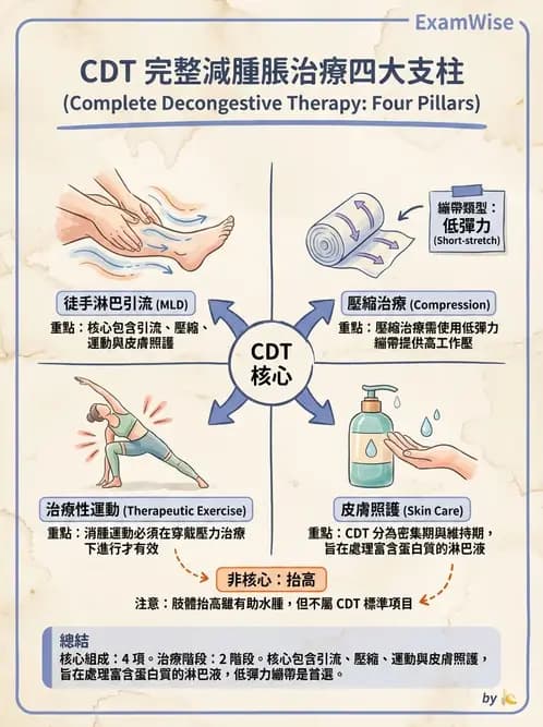 物治 - 皮膚與淋巴系統物理治療 - AI 圖文解析預覽
