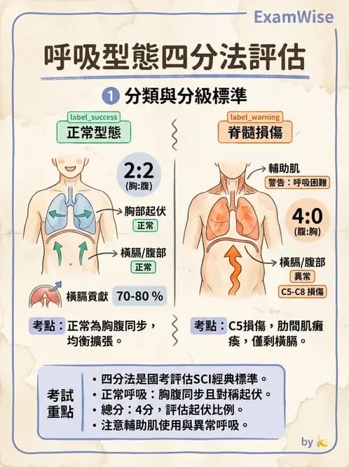 物治 - 呼吸臨床評估技術 - AI 圖文解析預覽