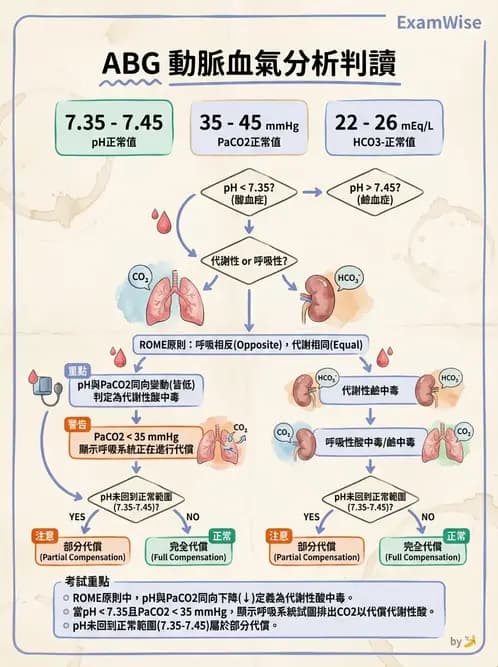 物治 - 肺功能測試與血氣體分析 - AI 圖文解析預覽