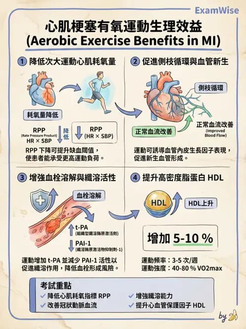 物治 - 心臟復健與運動處方 - AI 圖文解析預覽