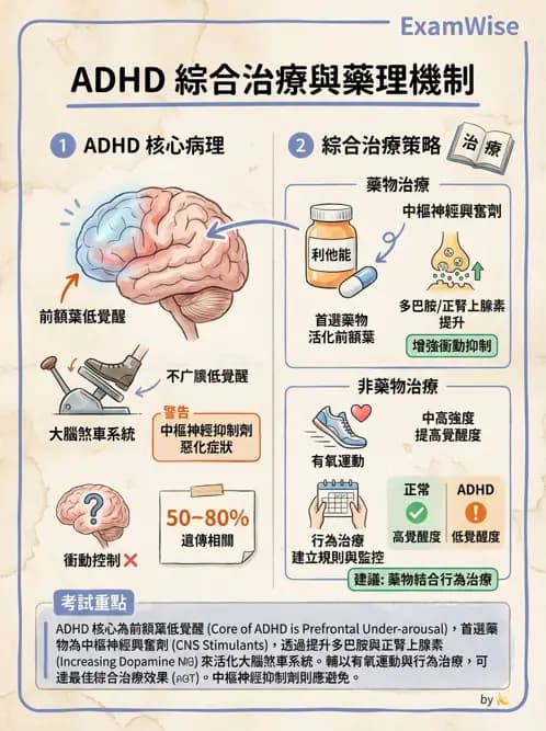 物治 - DCD、ADHD與行為介入 - AI 圖文解析預覽
