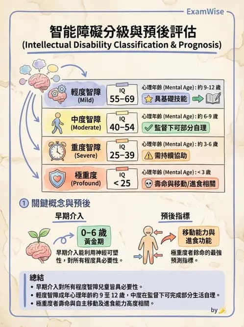 物治 - 智能障礙與基因症候群 - AI 圖文解析預覽