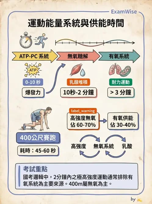 物治 - 能量代謝與運動適應 - AI 圖文解析預覽