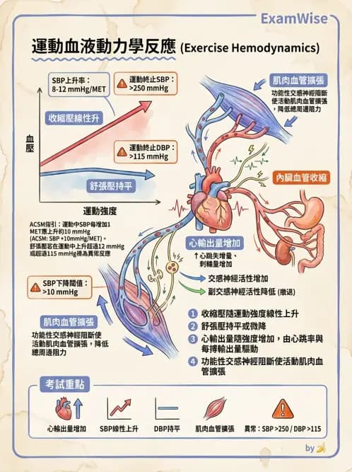 物治 - 運動與環境心肺生理 - AI 圖文解析預覽