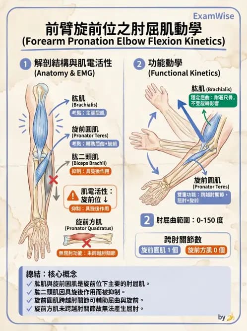 物治 - 日常功能動作與工效學 - AI 圖文解析預覽