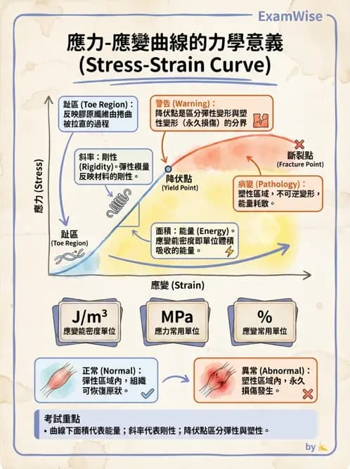 物治 - 組織生物力學 - AI 圖文解析預覽