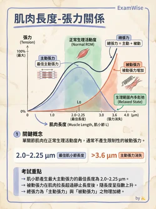 物治 - 肌肉力學與感覺運動控制 - AI 圖文解析預覽