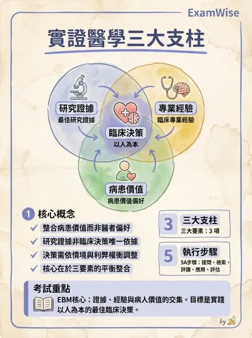 物治 - 實證概念與發展 - AI 圖文解析預覽