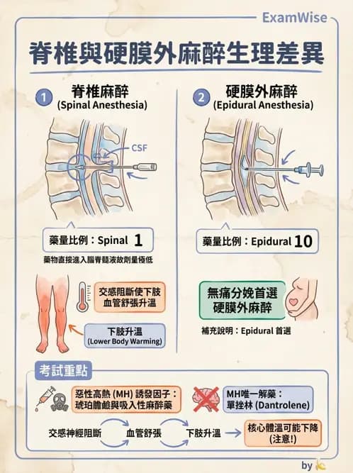 物治 - 腫瘤與其他臨床醫學 - AI 圖文解析預覽
