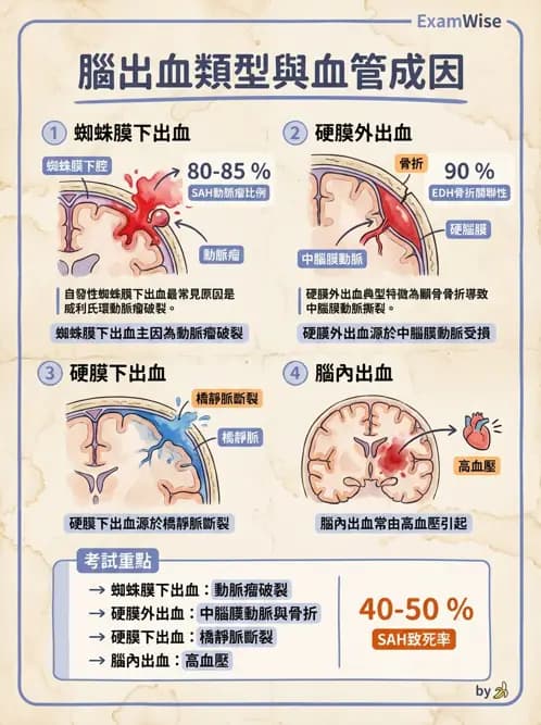 物治 - 腦血管疾病與腦外傷 - AI 圖文解析預覽
