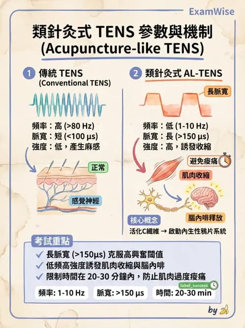 物治 - 經皮電刺激與電療基礎 - AI 圖文解析預覽
