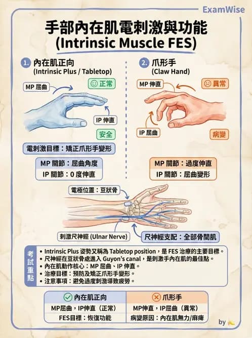 物治 - 功能性電刺激 - AI 圖文解析預覽