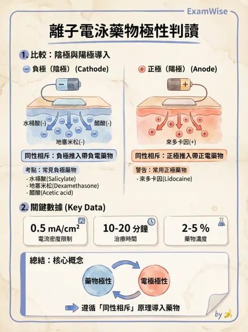 物治 - 離子導入法 - AI 圖文解析預覽