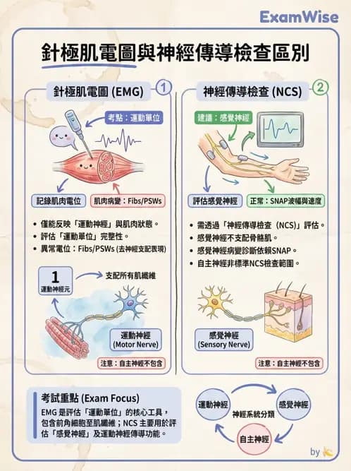 物治 - 電生理診斷 - AI 圖文解析預覽