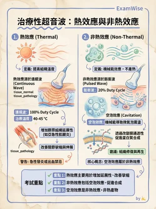 物治 - 超音波 - AI 圖文解析預覽