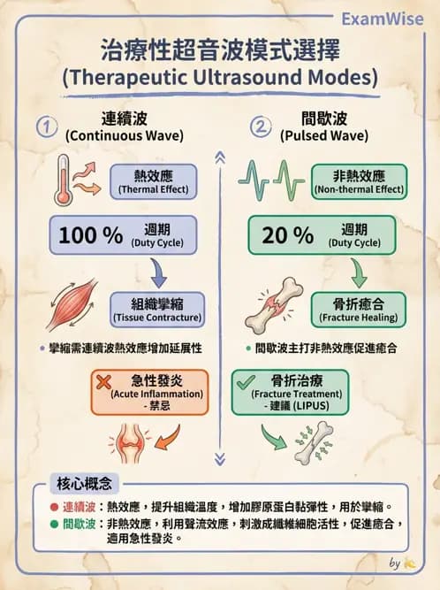 物治 - 超音波 - AI 圖文解析預覽