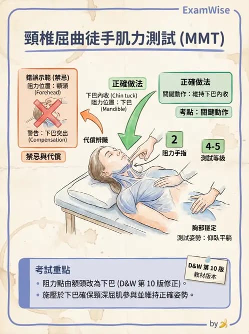 物治 - MMT通則、頭頸與軀幹 - AI 圖文解析預覽