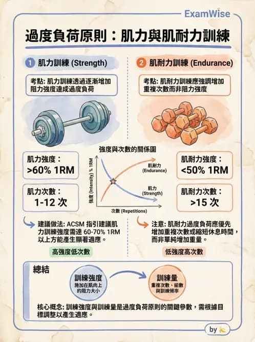 物治 - 漸進式阻力訓練 - AI 圖文解析預覽