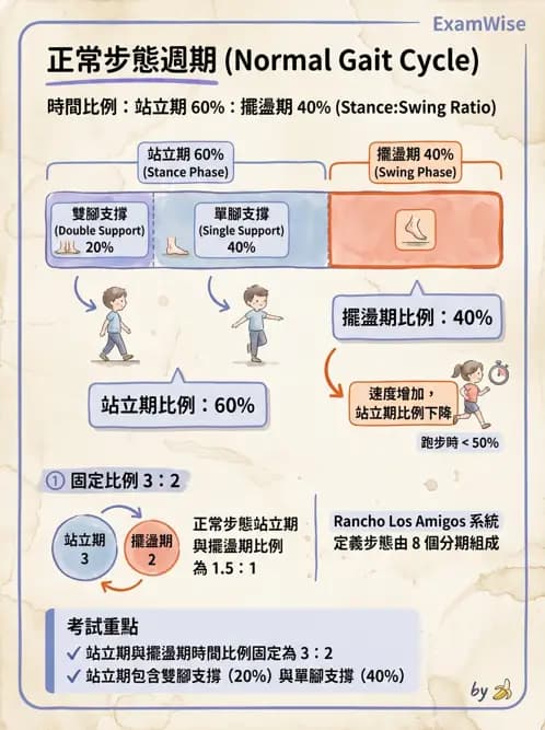 物治 - 行走評估與訓練 - AI 圖文解析預覽