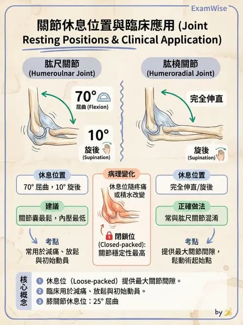 物治 - 鬆動術基礎概念與原則 - AI 圖文解析預覽
