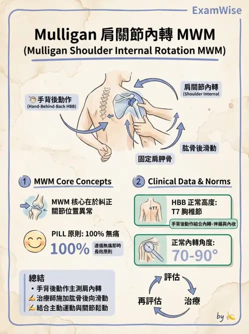 物治 - 鬆動術臨床應用 - AI 圖文解析預覽