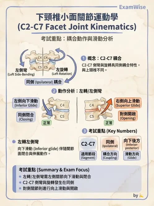 物治 - 脊椎鬆動術 - AI 圖文解析預覽