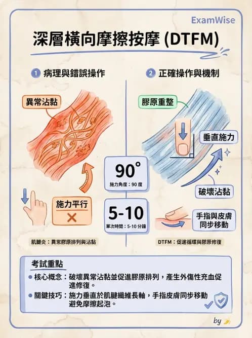 物治 - 深層摩擦按摩與結締組織技術 - AI 圖文解析預覽