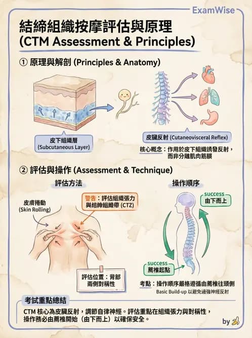 物治 - 深層摩擦按摩與結締組織技術 - AI 圖文解析預覽