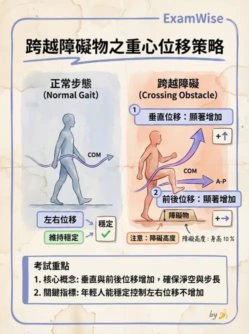 物治 - 動作控制理論 - AI 圖文解析預覽