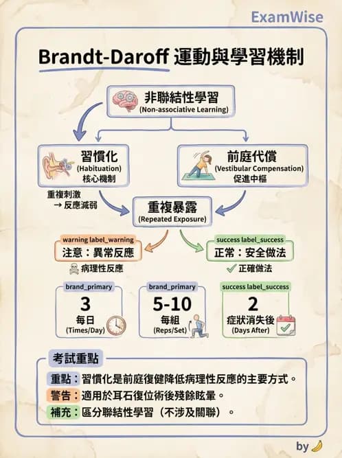 物治 - 動作學習 - AI 圖文解析預覽