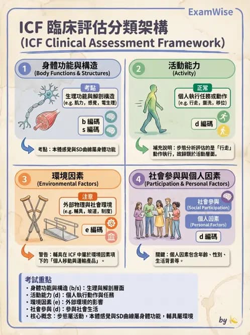 物治 - ICF分類與應用 - AI 圖文解析預覽