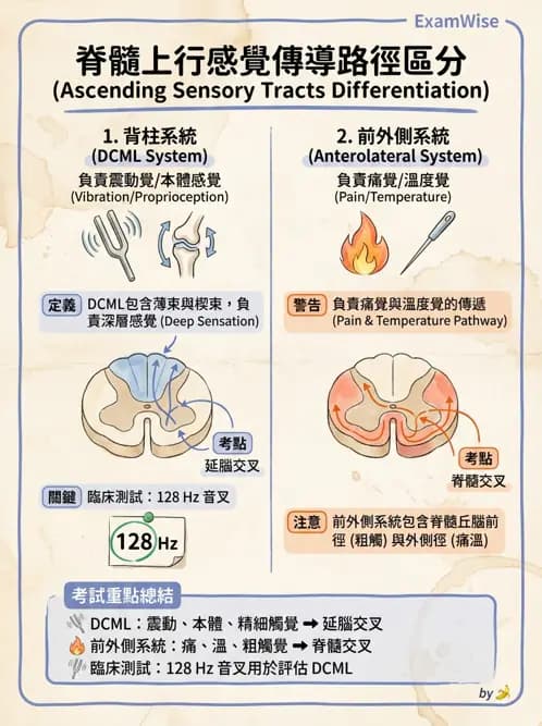 物治 - 神經物理治療評估工具 - AI 圖文解析預覽