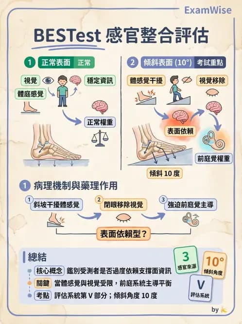 物治 - 神經物理治療評估工具 - AI 圖文解析預覽