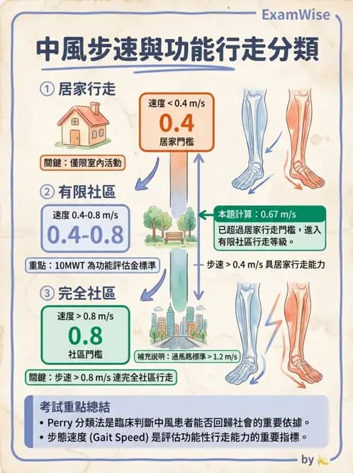 物治 - 腦中風步態分析與行走訓練 - AI 圖文解析預覽