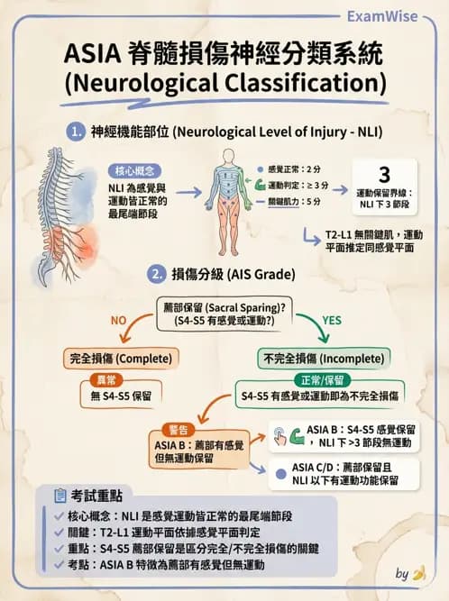 物治 - SCI評估分類與症候群 - AI 圖文解析預覽
