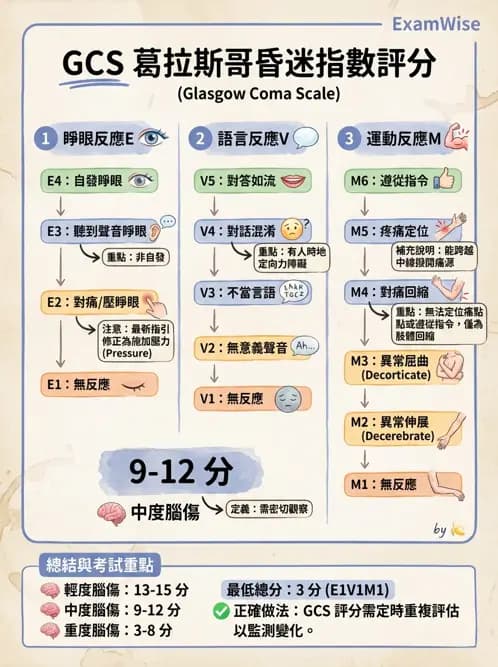 物治 - TBI病理評估與GCS - AI 圖文解析預覽