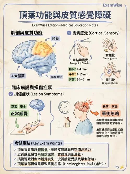 物治 - 運動神經元疾病與其他中樞疾病 - AI 圖文解析預覽
