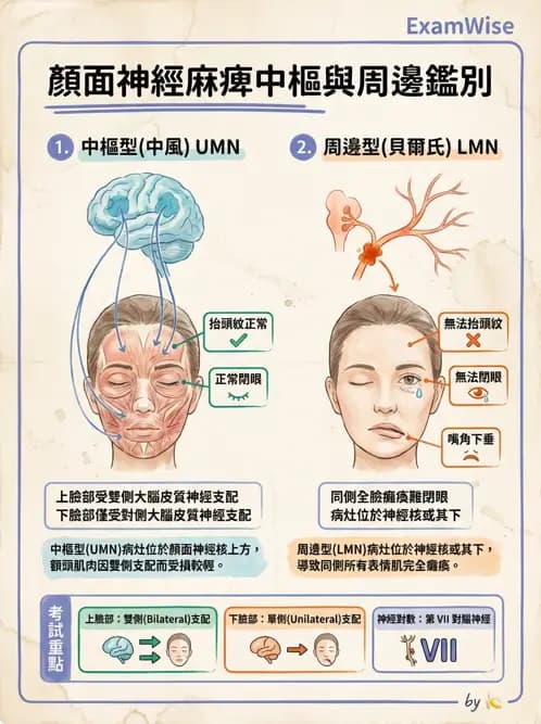 物治 - 神經肌肉疾病 - AI 圖文解析預覽