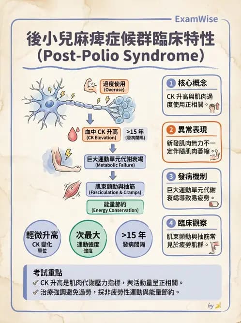 物治 - 神經肌肉疾病 - AI 圖文解析預覽