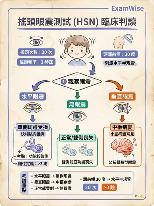 物治 - 前庭系統與前庭復健 - AI 圖文解析預覽