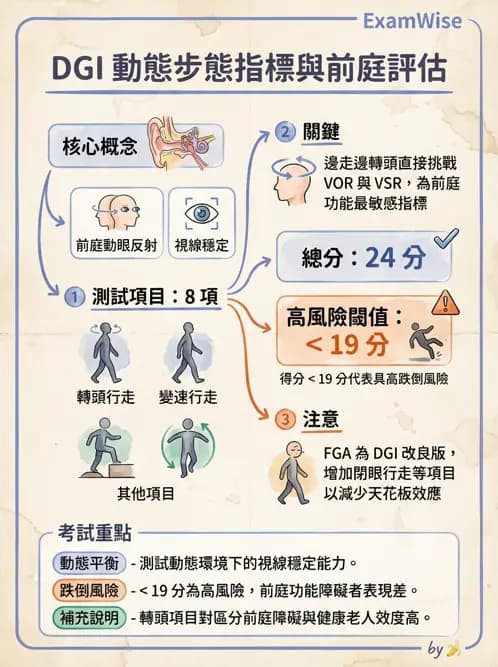物治 - 前庭系統與前庭復健 - AI 圖文解析預覽